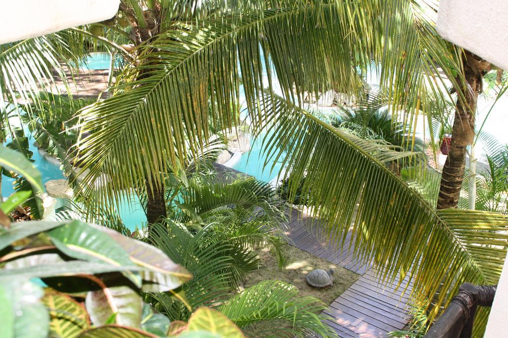 La Tortuga Hotel & Spa - Adults Only Playa del Carmen Ngoại thất bức ảnh